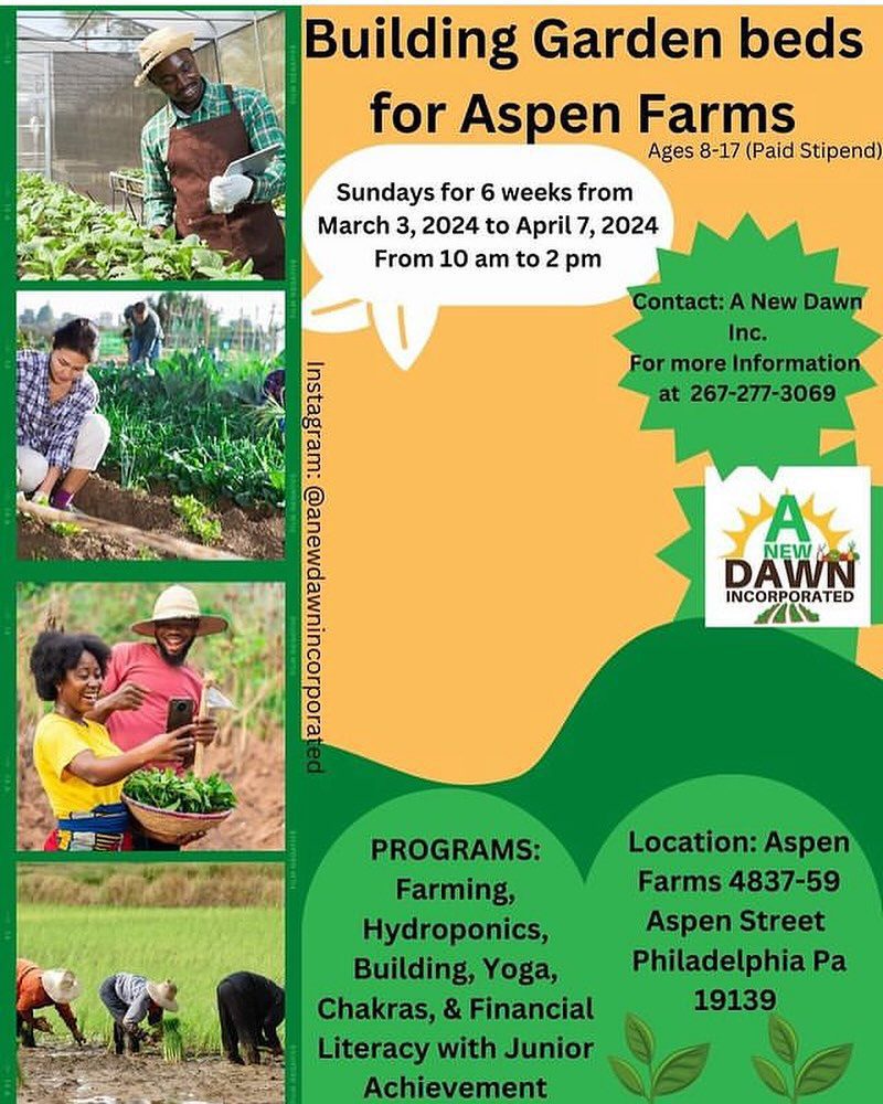 Building garden beds for aspen farms.