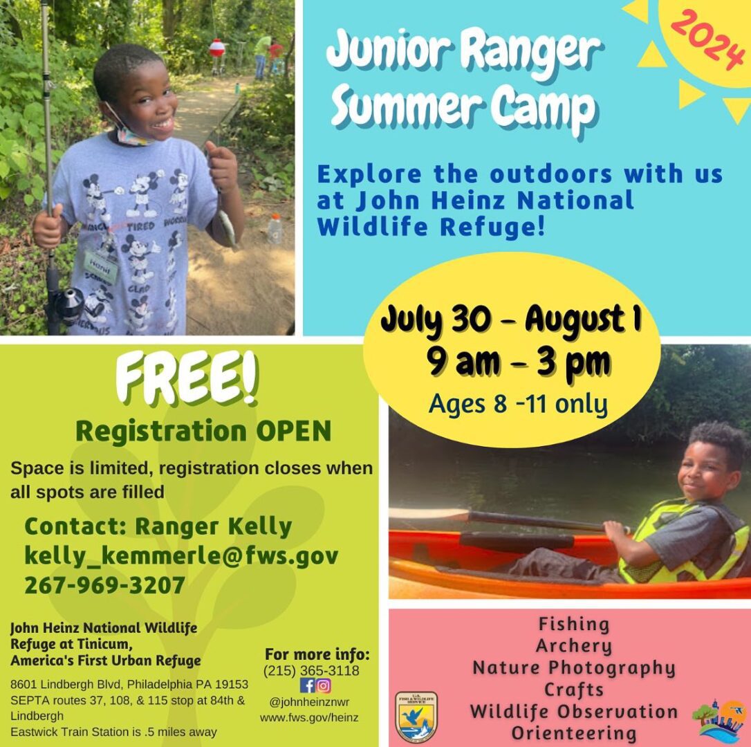 Flyer for Junior Ranger Summer Camp 2024 at John Heinz National Wildlife Refuge, July 30 - August 1, 9 am - 3 pm, for ages 8-11, featuring activities like fishing, archery, crafts, and more. Registration is free.